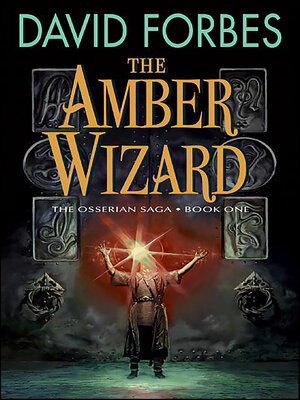 cover image of The Amber Wizard